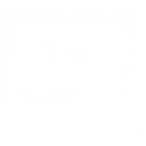 draw-a-picture